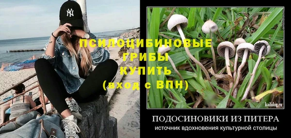 ешки Пестово