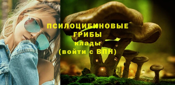 не бодяженный Абаза