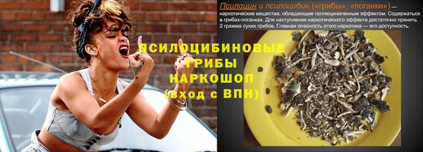 PSILOCYBIN Пересвет